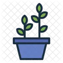 Potted Plant Leaves Indoor Plant Icon