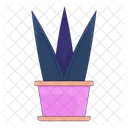 Sharp Leaf Pot Houseplant Aloe Succulent Icon