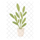 Potted plant with green leaves  Icon