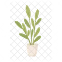 Potted plant with green leaves  Icon