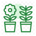 Potted plants  Icon