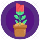 Potted Plant Potted Flower Potted Rose Icon