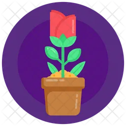 Potted Rose  Icon