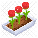 Potted Rose  Icon