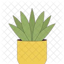 Potted succulent plant  Icon