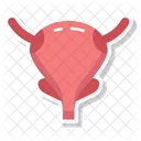 Pouch Sac Vesicle Icon