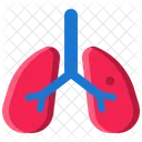 Poumons Organe Medical Icône