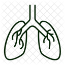 Poumons Systeme Respiratoire Organe Icône