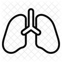  Icône