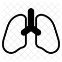  Icône