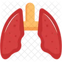 Poumons Humains Organes Icône