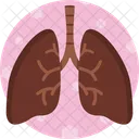 Respiratoire Respiration Organe Icône