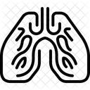 Poumons Respiration Humain Icône