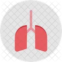 Poumons Respiration Pneumologie Icône