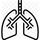 Poumon Pulmonaire Respiratoire Icône