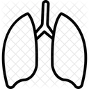 Poumons Anatomie Respiration Icône
