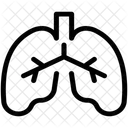 Poumons Respiration Pneumologie Icône