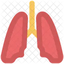 Poumons Anatomie Respirer Icône