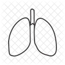 Poumons Parties Du Corps Anatomie Icône