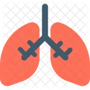 Poumons Respiration Pneumologie Icône