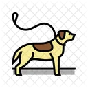 Pouring Dog Pouring Out Icon