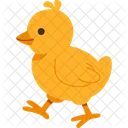 Poussin Jaune Bebe Icône