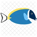 Powder Blue Tang Fish Sea Creature Animal Icon