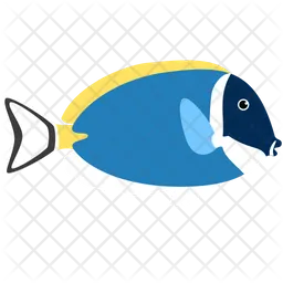 Powder Blue Tang Fish  Icon
