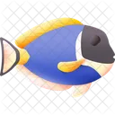 Powder Blue Tang Fish Animal Fish Icon