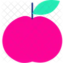 Pple Fruit Healthy Icon