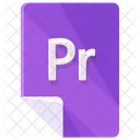 Pr File Format Icon