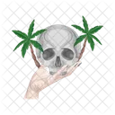 Praia Cranio Tropical Icon