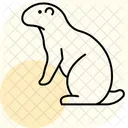 Prairie Dog Prairiedog Pet Icon