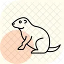 Prairie Dog Prairie Dog Icon