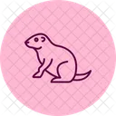 Prairie Dog Prairie Dog Icon