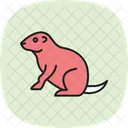 Prairie Dog Prairie Dog Icon