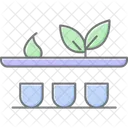 Prateleira De Ervas Organicas Organico Erva Icon