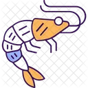 Prawn Shrimp Seafood Icon