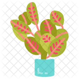 Prayer plant  Icon