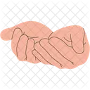 Praying Hands  Icon