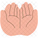 Praying Hands  Icon