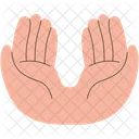 Praying Hands  Icon