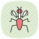 Praying Insect Mantis Icon
