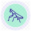 Praying Mantis Mantis Insect Icon