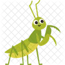 Mantis Praying Insect Icon