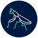 Praying Mantis Mantis Insect Icon