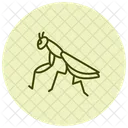 Praying Mantis Mantis Insect Icon
