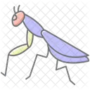 Praying Mantis Mantis Insect Icon