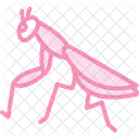 Praying Mantis Mantis Insect Icon