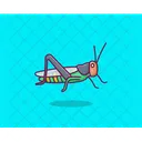 Praying Mantis Bug Insect Icon